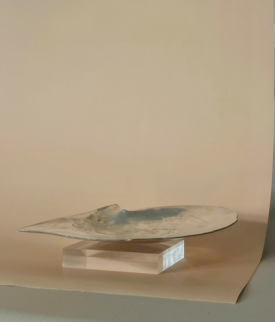 Pinctada Oyster Shell Sculpture in Silver