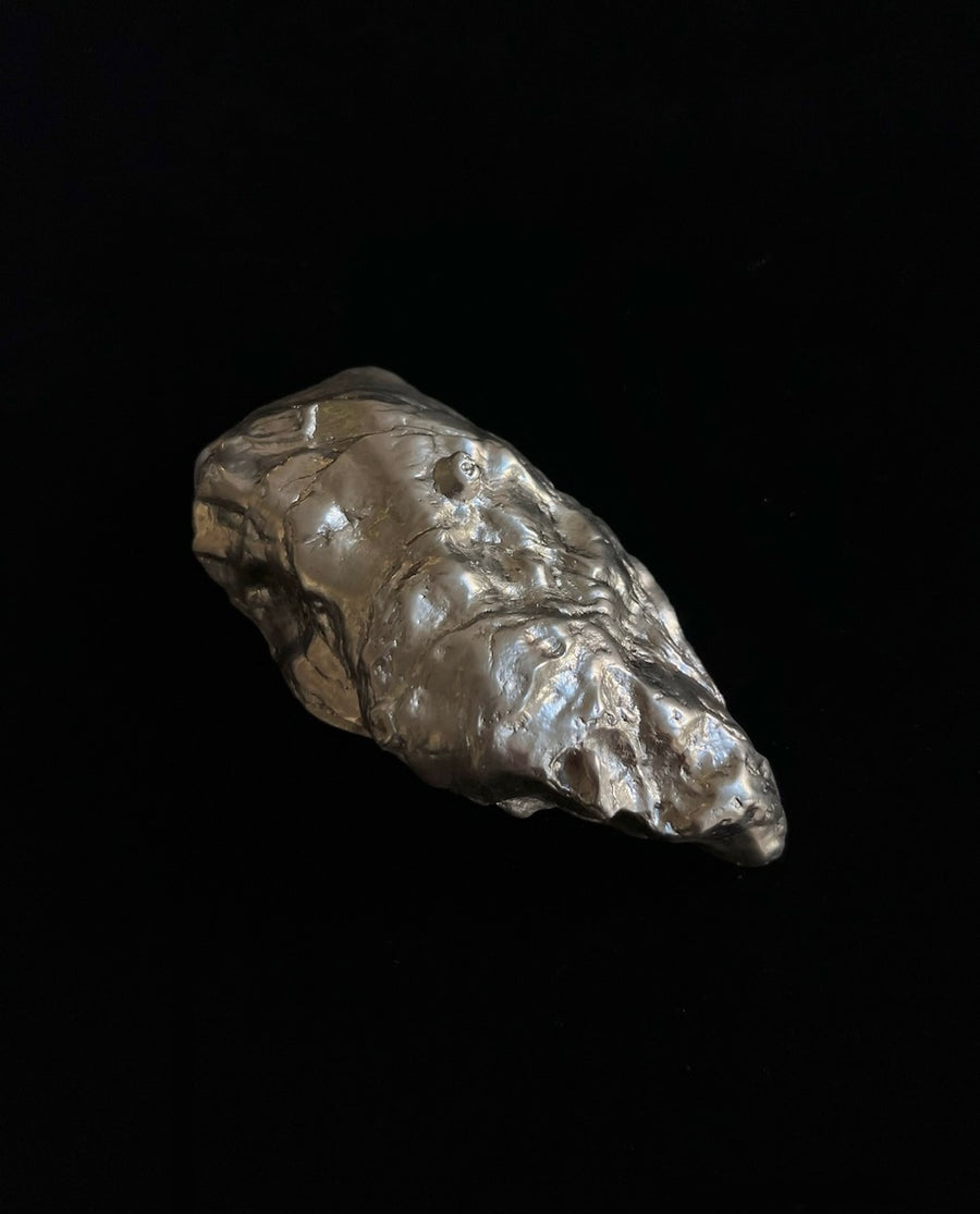 Oysters and Fluted Clam in Silver