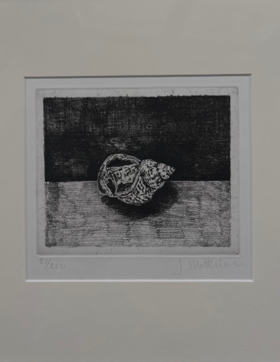 Shell Etching II