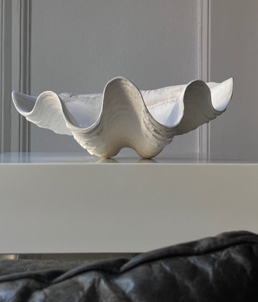 Clam Shell Plaster Sculpture – Médecine